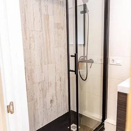 Apartment Catedral Reina *